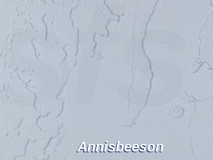 Annisbeeson