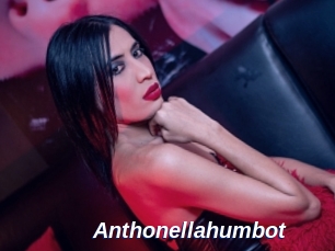 Anthonellahumbot