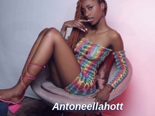 Antoneellahott