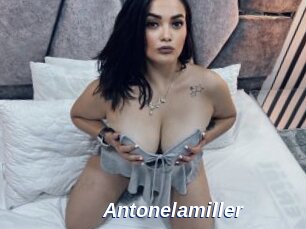 Antonelamiller