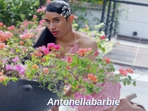 Antonellabarbie