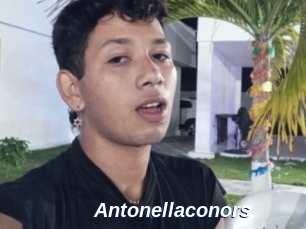 Antonellaconors