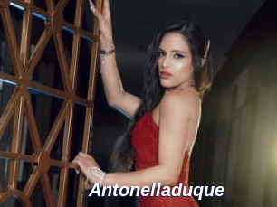 Antonelladuque