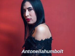 Antonellahumbolt