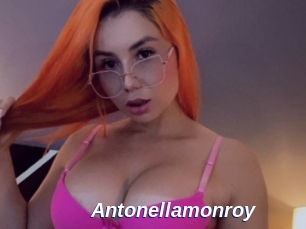 Antonellamonroy