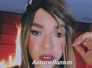 Antonellamun