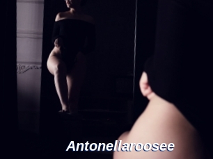 Antonellaroosee