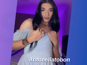 Antonellatobon