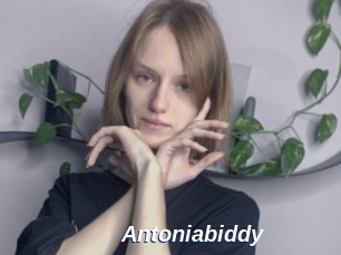 Antoniabiddy