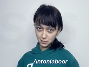 Antoniaboor