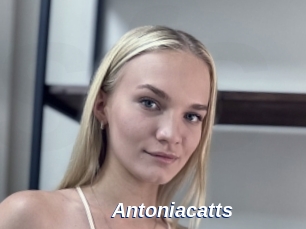 Antoniacatts