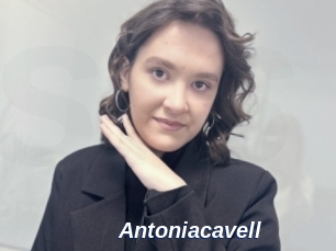 Antoniacavell