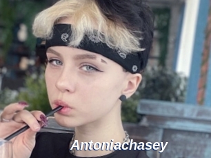 Antoniachasey