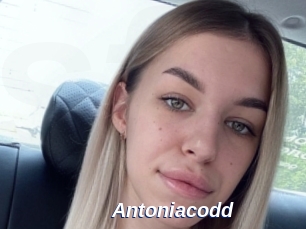 Antoniacodd