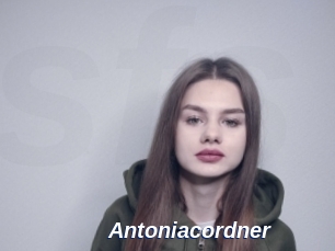 Antoniacordner