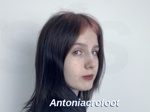 Antoniacrofoot