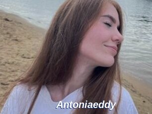 Antoniaeddy