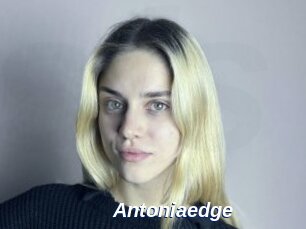 Antoniaedge