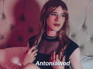 Antoniawod