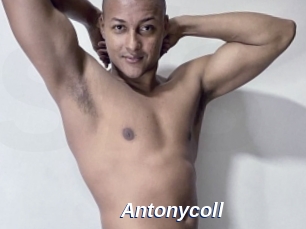 Antonycoll