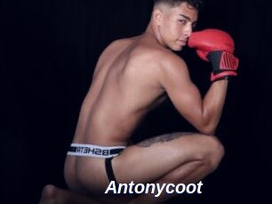 Antonycoot