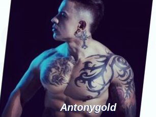 Antonygold