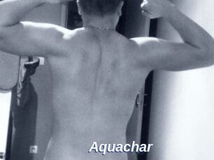 Aquachar