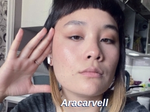 Aracarvell