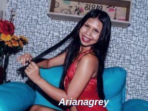 Arianagrey