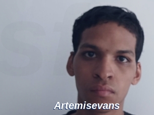 Artemisevans