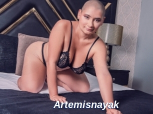 Artemisnayak