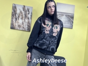 Ashleybeese