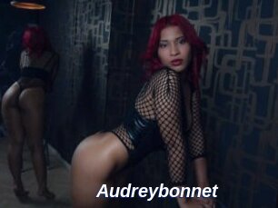 Audreybonnet