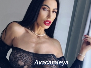 Avacataleya