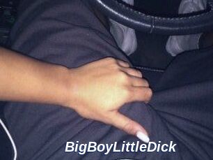 BigBoyLittleDick