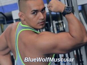 BlueWolfMuscular