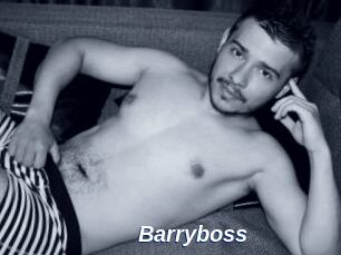 Barryboss