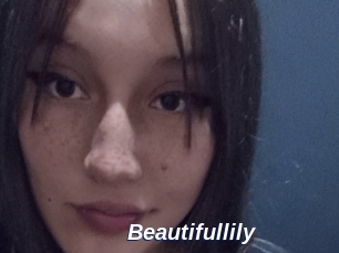 Beautifullily