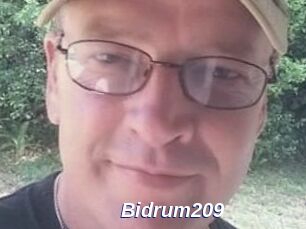 Bidrum209