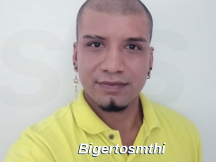 Bigertosmthi