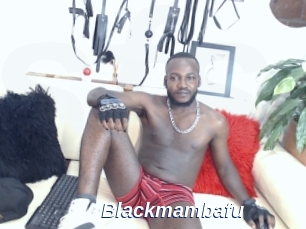 Blackmambafu