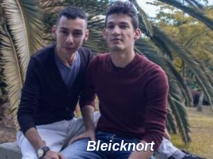 Bleicknort