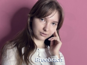 Breebrach