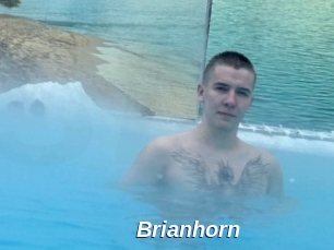 Brianhorn