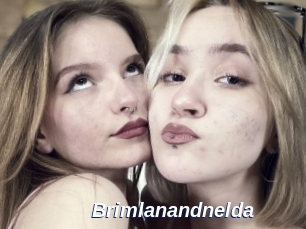 Brimlanandnelda