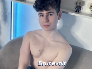 Brucevolt