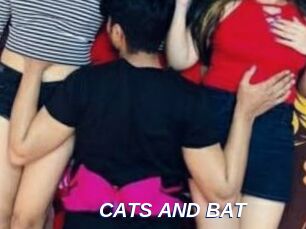 CATS_AND_BAT