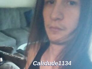 Calidude1134