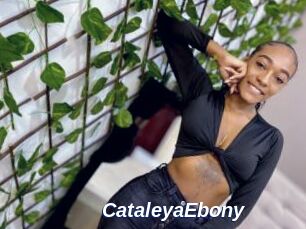 CataleyaEbony