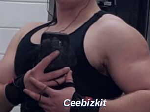 Ceebizkit